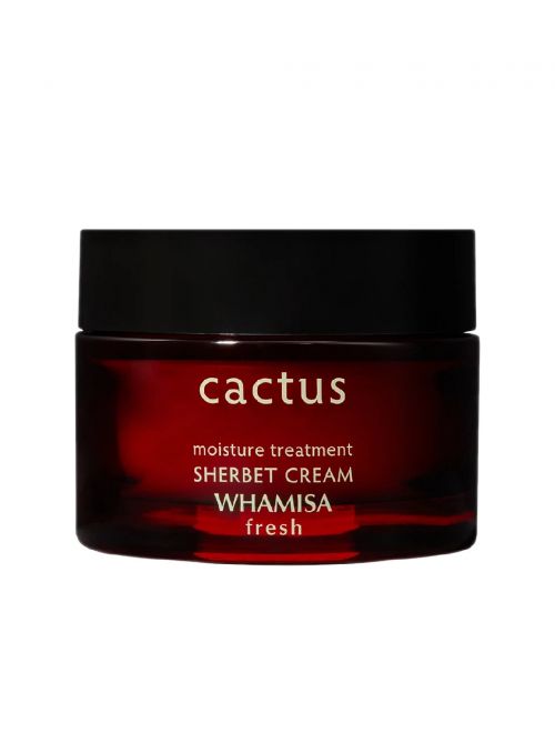Cactus Moisture Treatment Sherbet Cream
